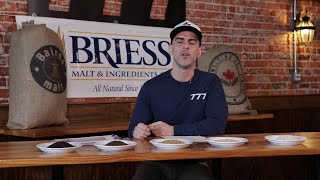 How To Choose Your Malts The Basics