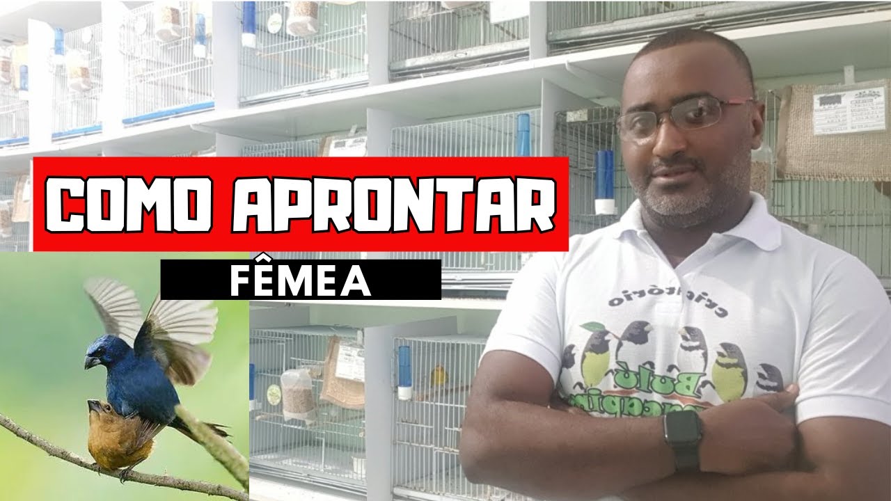 COMO APRONTAR FÊMEA