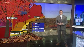 CONNECTICUT FORECAST: Night - October 9, 2022