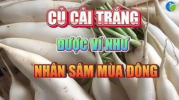 CỦ CẢI TRẮNG,  BỔ NHƯ NHÂN SÂM MÙA ĐÔNG