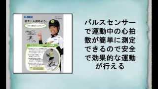 ALINCO(アルインコ) エアロマグネティックバイク+フロアマット【特別お買い得セット】AFB4010M