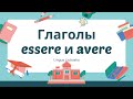 Глаголы Essere и Avere в итальянском языке