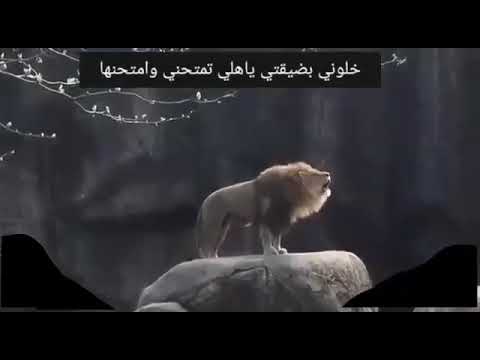 اخ منك يازمن
