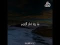 Deep Emotional Quran Recitation for Healing the Soul and Heart Serenity #Quran #SoulHealing