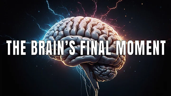 What Your Brain Does After Death (It’s Not What You Think)