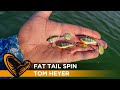 Savage Gear Fat Tail Spin video