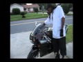 RASTAFARI CHARIOT 