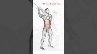 Best Best #Abs # #Exercise ## Cable Woodchop  High ot Low##3D Animation Video#
