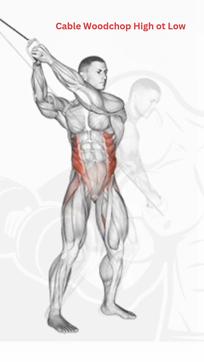 Best Best #Abs # #Exercise ## Cable Woodchop  High ot Low##3D Animation Video#