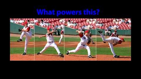 Physics of Life - Click Beetle