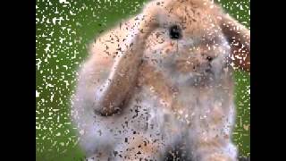 Красивые картинки природы и животных(, 2015-03-03T03:34:56.000Z)