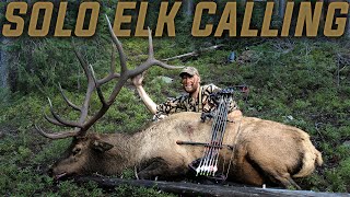 HOW TO CALL ELK (SOLO EDITION)