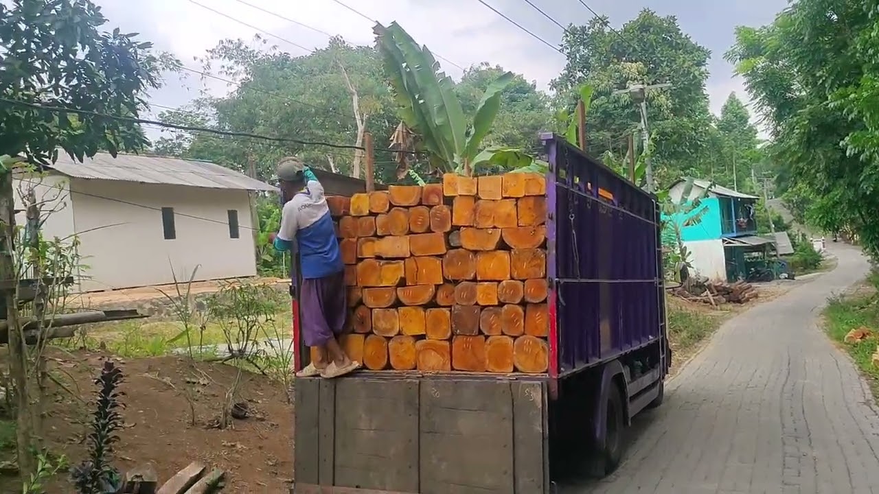 27-09-2025. MUAT KAYU MAHUNI 2 METERAN