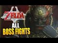 The Legend of Zelda Twilight Princess HD - All Bosses and Mini-Bosses | Hero Mode & Ganondorf Amiibo