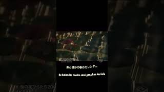 single1 AKB48 - 桜の花びらたち. kelopak bunga sakura. #akb48 #2008 #musicvideo #jkt48 #music #akb48group