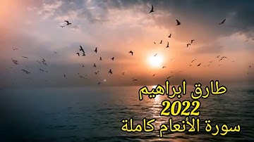 طارق ابراهيم 2022 سورة الأنعام كامله