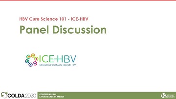 Panel Discussion | HBV Cure Science 101 - ICE-HBV