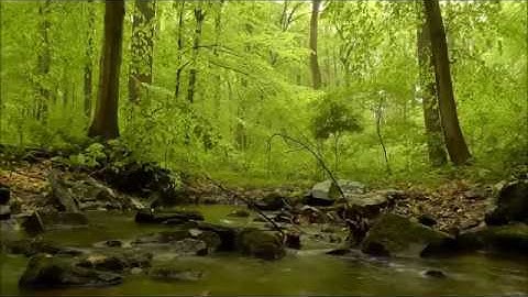 الله نور السموات والأرض تلاوة رائعة للقارئ خالد الجليل