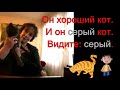 4.9 Это мой кот (This is my cat) RUSSIAN 0