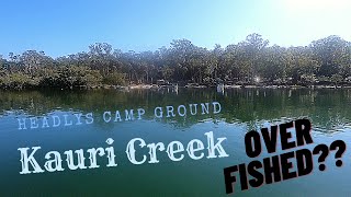 Kauri creek is over Fished!!