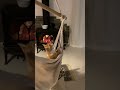 ハンモックがなぜ揺れるのか気になる猫　Cat curious about the swinging hammock 【Shorts】 #cat #catlover #shorts