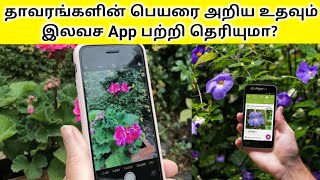 how to identify a plant | flower identification app | plant identifying app | esay gardening tamil screenshot 4