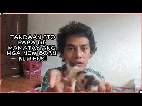 Video: Ano ang larva para sa mga bata?