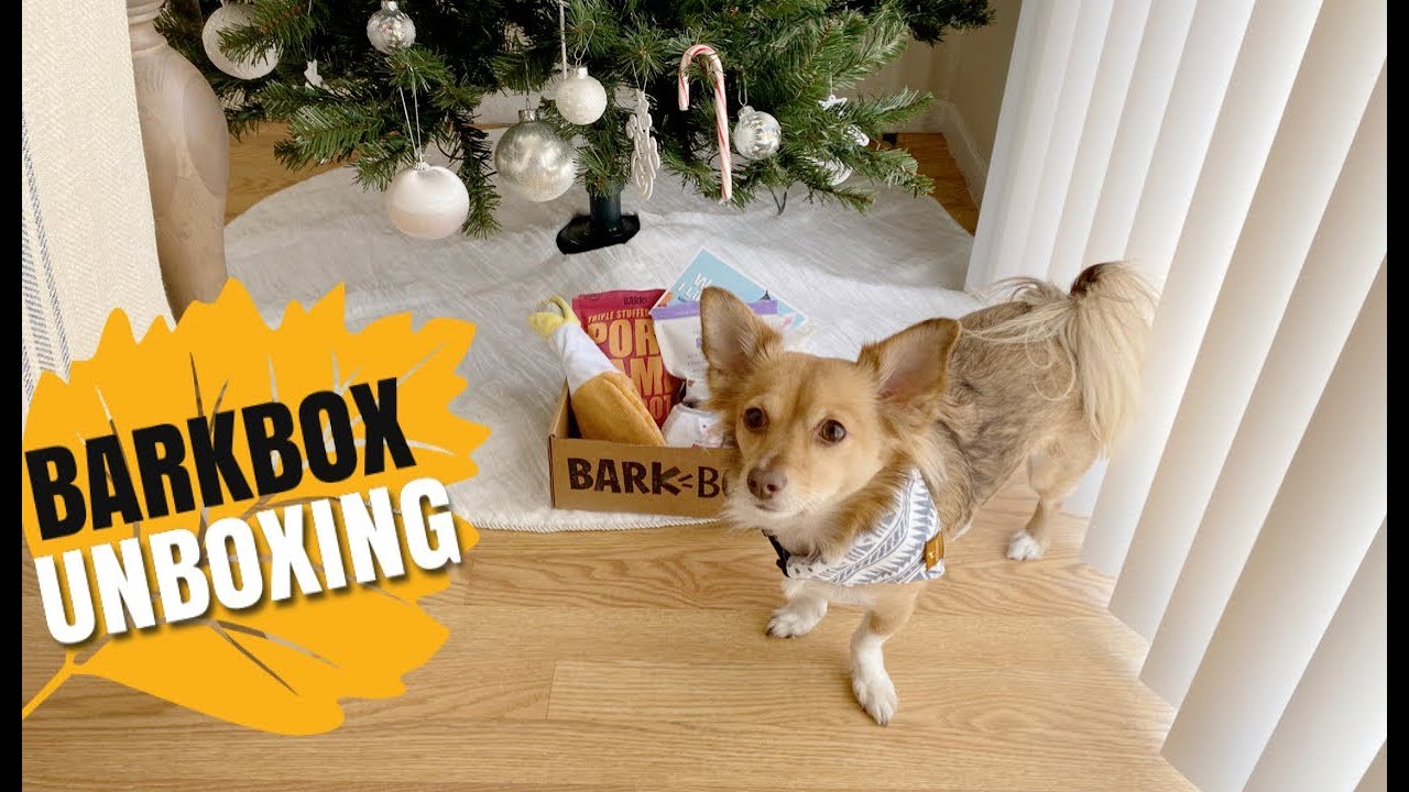 BARKBOX UNBOXING 🐕 | November 2019 🍂 - YouTube