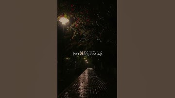 سورة الحجر ❤️ #اجر_لي_ولك #المصحف #قرآن #سورة #تلاوة_خاشعة #تلاوات #اذكار