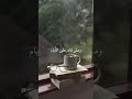 عمرو دياب تملي معاك ذكاء اصطناعي By EchoMuseAI Amr Diab Tamally Maak Ai Ai Lyrics 