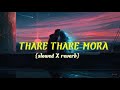 THARE THARE MORA Odia Song Slowed X Reverb Lo Fi 2 0