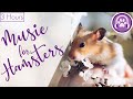 🐹Music for Hamsters - Soothing Lullabies to Relax Your Hamster!🐹