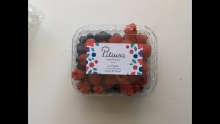 Frambuesas y Arándanos Vivero El Pinar - Pitiusa