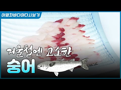 영광 <strong>굴비</strong>? 영광 숭어도 제철이라 회로 딱! 맛이 좋습니다~ #영광 #바다 #영광여행 #숭어 #숭어회