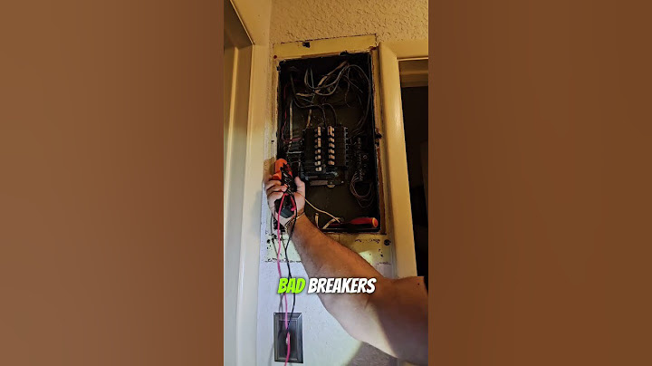 Huge bug in panel on a late night emergency call in wellington fl. Simon Electric. Electrician
