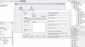 Using RAD Studio and InterBase Express to Create an Application Without Code