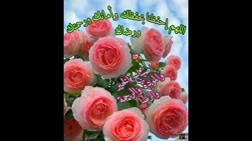 قرآن وحديث الجمعة #اكسبلور #القزابري #قرآن #سعد_الغامدي #المصحف #ترند #الرحمن #لايك #سورة_الكهف #fy