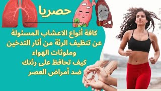 كافة الاعشاب التى تستطيع علاج أمراض الرئة وتنظيفها من الشوائب وآثار التدخين