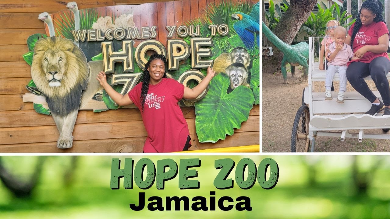 Day at the Zoo Hope Zoo Jamaica YouTube