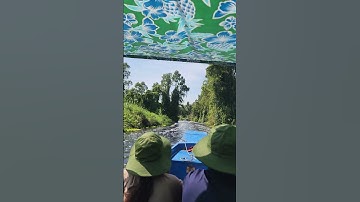 Đi tìm lóc bông VQG U Minh Thượng #cauca #fishing