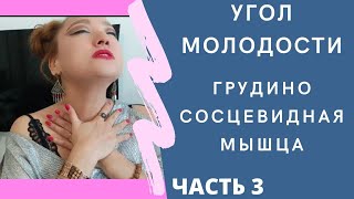 ЧАСТЬ 3. УГОЛ МОЛОДОСТИ. УЙДУТ БРЫЛИ. ЧЕТКИЙ ОВАЛ ЛИЦА . Грудино Сосцевидная Мышца.