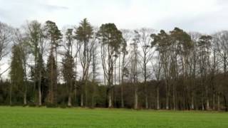 Loiter Test with Ardupilot Mega 2 | GPS Hold Hovering Test