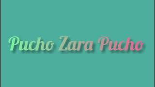 Pucho Zara Pucho.mp3