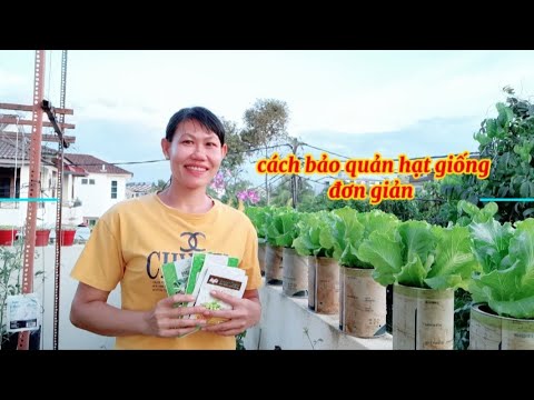 Video: Bảo quản Hạt giống: Cách Giữ Hạt giống