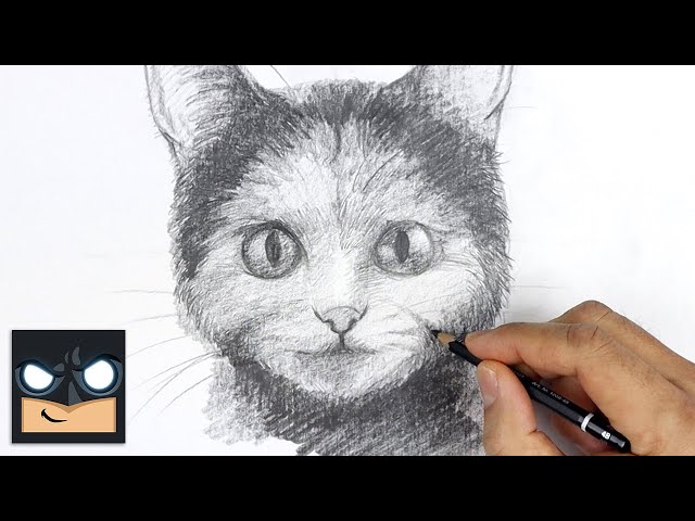 Learn How to Draw a Cat – Scout Life magazine