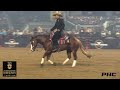 Taph matt mills rode guns and dynamite owned by marybeth  tim ruckman 221