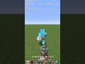 FIND THE MINECRAFT ITEM!