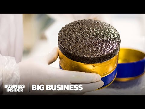 How Africa’s First Caviar Won Over Michelin-Starred Restaurants In Europe | Big Business