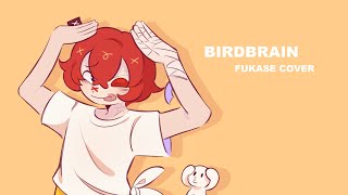 BIRDBRAIN