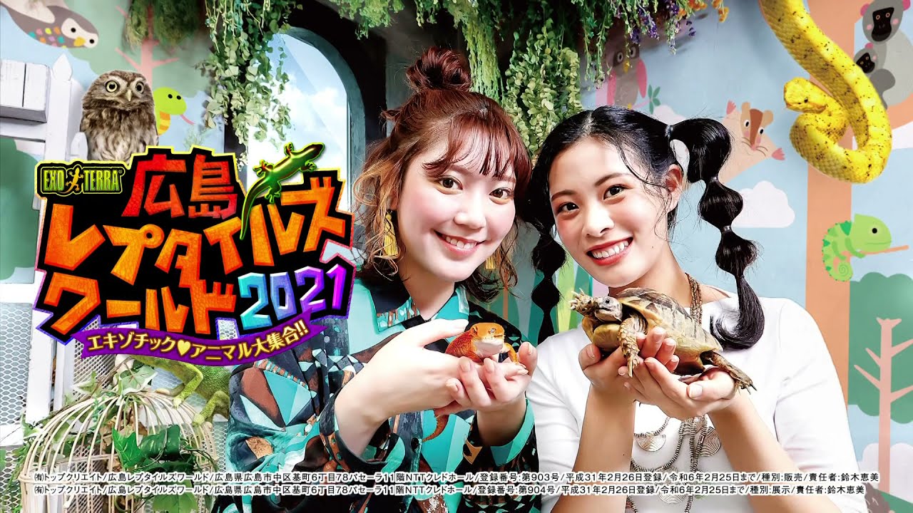 広島レプタイルズワールド 21 Cm 30秒ver Youtube 広島レプタイルズワールド 21 Cm 30秒ver Youtube